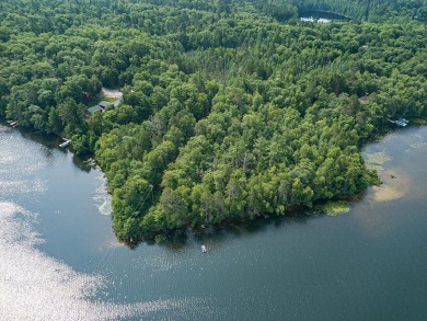2 LAKES FOR THE PRICE OF 1! - Lake Acreage For Sale in Conover, Wisconsin