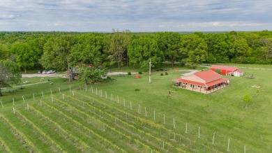 Lake Home For Sale in Stockton, Missouri