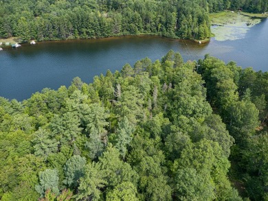 Lower Buckatabon Lake Acreage For Sale in Conover Wisconsin