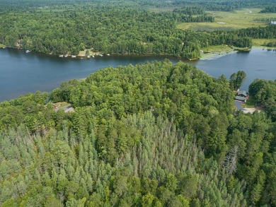 LOWER/UPPER BUCKATABON LAKES- 11.56 AC - Lake Acreage For Sale in Conover, Wisconsin