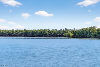 BREATHTAKING VIEWS OF CLAM BAYOU! This waterfront near beach