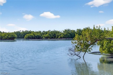 BREATHTAKING VIEWS OF CLAM BAYOU! This waterfront near beach