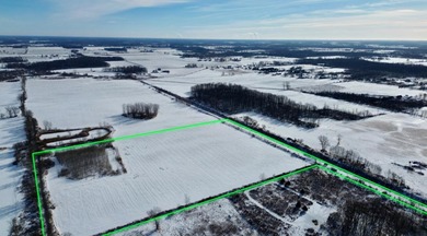 (private lake, pond, creek) Acreage For Sale in Capac Michigan