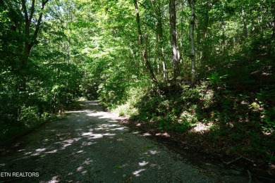 Lake Lot For Sale in Smithville, Tennessee