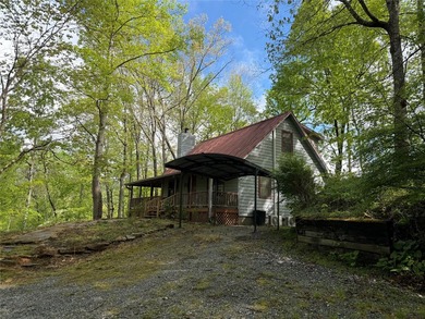 This tastefully updated two bedroom , two bath cabin is located - photo 2