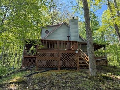 This tastefully updated two bedroom , two bath cabin is located - photo 5