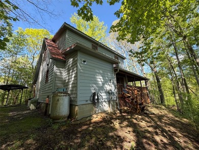 This tastefully updated two bedroom , two bath cabin is located - photo 8