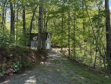 This tastefully updated two bedroom , two bath cabin is located - photo 9