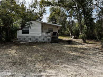 Lake Home For Sale in Salt Springs, Florida