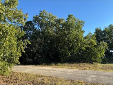 Lehigh Acres Area Lot Sale Pending in Lehigh Acres Florida