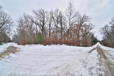 Crookneck Lake Lot For Sale in Motley Minnesota