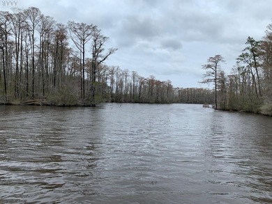 Yeopim River / Bethel Creek  Lot For Sale in Edenton North Carolina