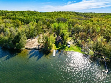 A rare opportunity on beautiful Munro Lake with 80' of frontage! - photo 41