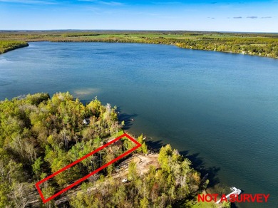 A rare opportunity on beautiful Munro Lake with 80' of frontage! - photo 44