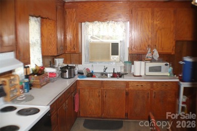 Discover a Rare Diamond in the Rough in Davidson, NC! Nestled on - photo 5
