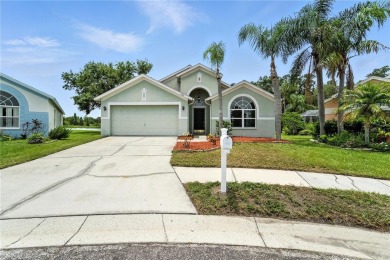 Lake Home For Sale in Brandon, Florida