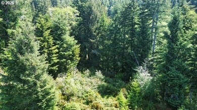 This beautiful 4.18-acre parcel boasts level to gently rolling - photo 11