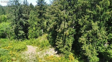 This beautiful 4.18-acre parcel boasts level to gently rolling - photo 12