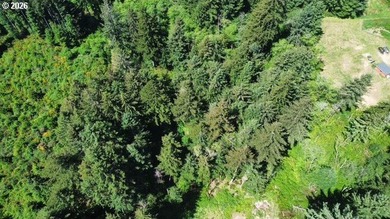 This beautiful 4.18-acre parcel boasts level to gently rolling - photo 14