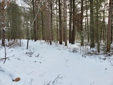 (private lake, pond, creek) Acreage For Sale in Brohman Michigan