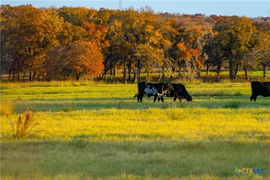 (private lake, pond, coastal) Acreage For Sale in Seguin Texas