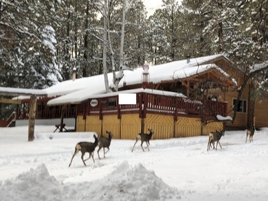 Brazos lodge is a small quaint rustic Lodge in the Brazos canyon - photo 7