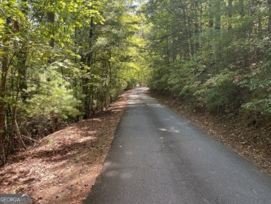 Lake Lot For Sale in Lakemont, Georgia