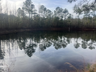 (private lake, pond, creek) Acreage For Sale in Four Oaks North Carolina