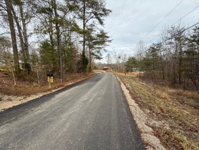 Lake Lot - photo 4