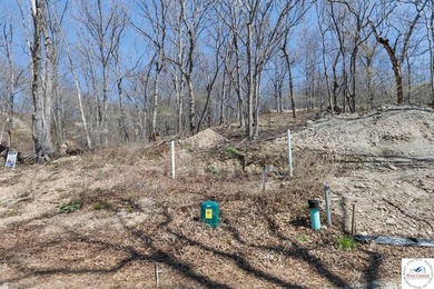 Presenting a rare opportunity to own 2.4 acres of premier - photo 2