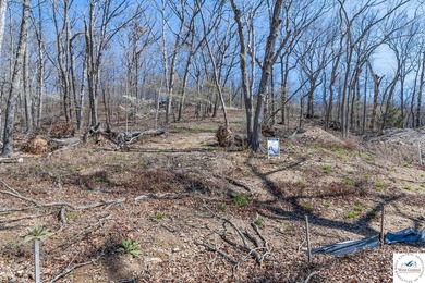 Presenting a rare opportunity to own 2.4 acres of premier - photo 5