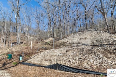 Presenting a rare opportunity to own 2.4 acres of premier - photo 7
