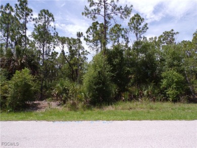 Port Charlotte Waterway Lakes Area Lot For Sale in Punta Gorda Florida