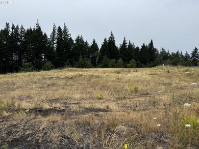 Columbia River - Hood County Lot For Sale in Cascadelocks Oregon