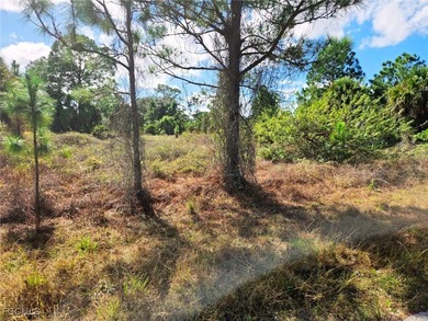 Lehigh Acres Area Lot For Sale in Lehigh Acres Florida