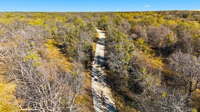 A rare opportunity to own approximately 84 acres of premier Lake - photo 5