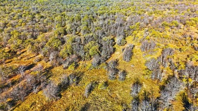 A rare opportunity to own approximately 84 acres of premier Lake - photo 7