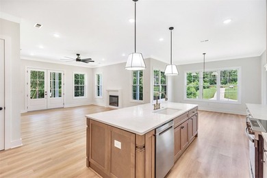 Craftsman-style 4-bedroom home featuring an attached side-entry - photo 4