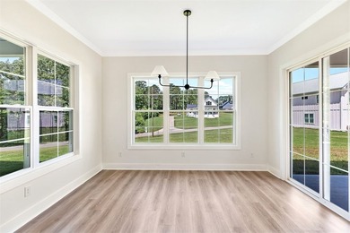 Craftsman-style 4-bedroom home featuring an attached side-entry - photo 6