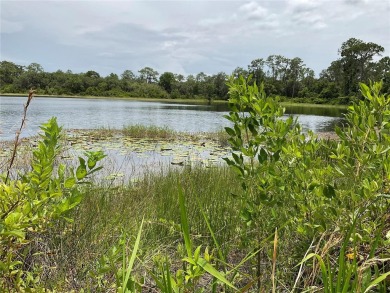 Lake Lot For Sale in Ocklawaha, Florida