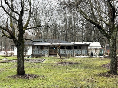 Lake Home For Sale in Andover, Ohio