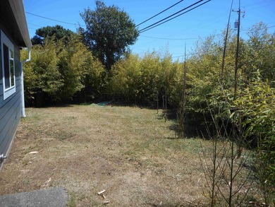 Sparkling clean 3 bedroom 2 bath, home in town. City sewer and - photo 35