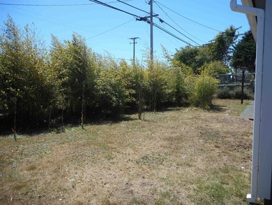 Sparkling clean 3 bedroom 2 bath, home in town. City sewer and - photo 36