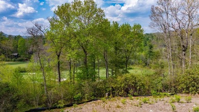 376 Heaton Forest Road enjoys a prime location in High Hampton - photo 4