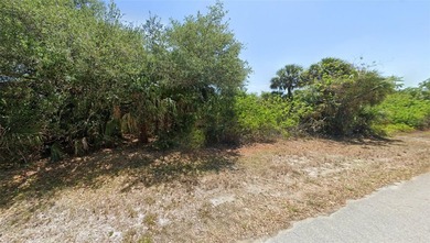 OPPORTUNITY ALERT! This buildable lot in north-central Port - photo 3