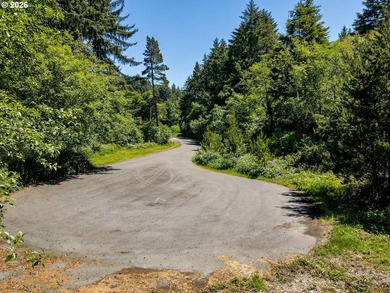 A rare chance to buy a coastal lot with the heavy lifting - photo 3