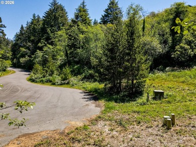 A rare chance to buy a coastal lot with the heavy lifting - photo 4