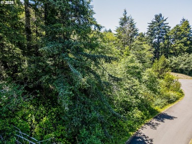 A rare chance to buy a coastal lot with the heavy lifting - photo 10