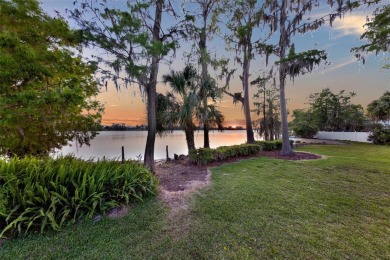 Lake Home For Sale in Orlando, Florida