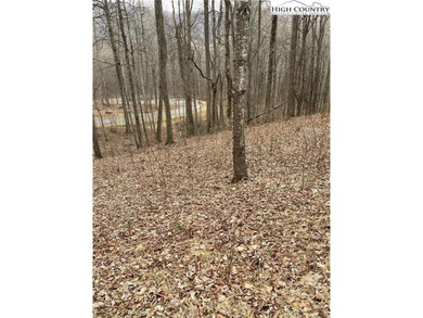 Elk Creek Mountain has lots to offer paved road, gated entrance - photo 12